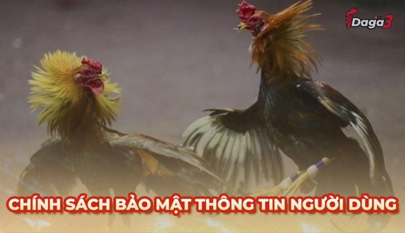 Chính sách bảo mật thông tin người dùng tại enduel.bio