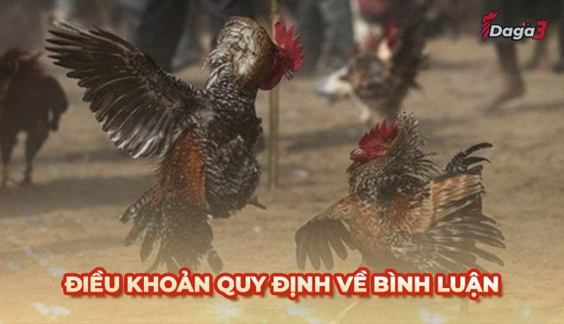 Người dùng cần tuân thủ một số điều khoản khi bình luận trên enduel.bio