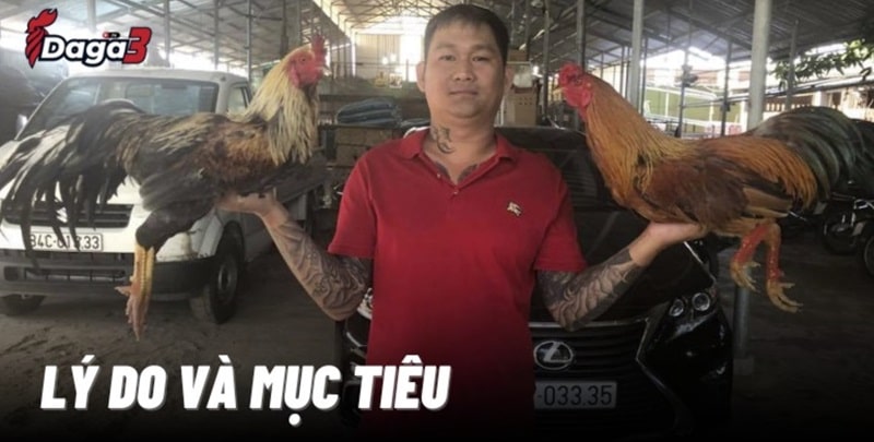 Mít Trà Cú sáng lập trang đá gà trực tiếp enduel.bio